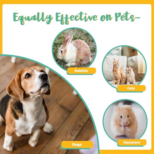 Kit Profesional Haveble 6 en 1 para Piojos, Pulgas y Caspa – Tratamiento Seguro y Rápido Sin Químicos para Niños, Adultos y Mascotas | Incluye - imagen 5