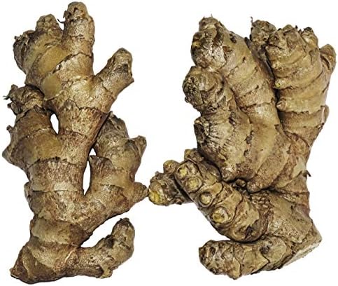 10 Rizomas de Jengibre Comestible Zingiber Officinale para Cultivar - imagen 1
