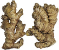 10 Rizomas de Jengibre Comestible Zingiber Officinale para Cultivar - imagen 1