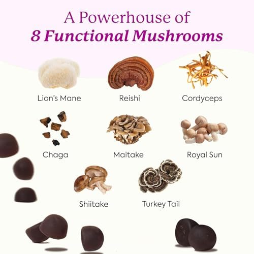 Gomitas de Hongo Melena de León - Suplemento Orgánico de 12 Hongos con Cordyceps, Reishi, Chaga, Sabor a Arándano, 60 Gomitas para Energía y Salud - imagen 5