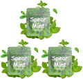 Paquete de 3 Núcleos de Sabor Menta Verde a Base de Plantas para Collar de Respiración | 9 Núcleos en Total, Compatible con Difusores para Alivio de - imagen 1