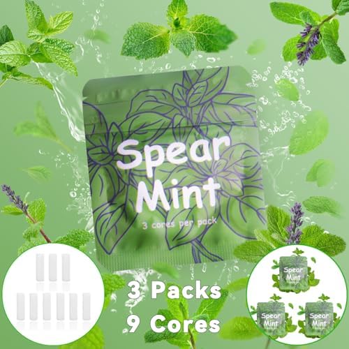 Paquete de 3 Núcleos de Sabor Menta Verde a Base de Plantas para Collar de Respiración | 9 Núcleos en Total, Compatible con Difusores para Alivio de - imagen 2