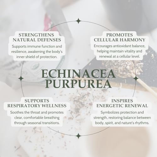 Echinacea Purpurea Orgánica 4 oz. (113g) - Té Seco Certificado USDA, Hierba de Calidad Premium, Flor de Cono Púrpura, Cortada y Tamizada - imagen 3