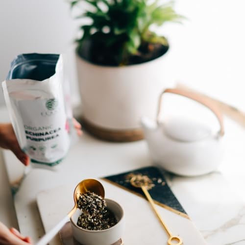 Echinacea Purpurea Orgánica 4 oz. (113g) - Té Seco Certificado USDA, Hierba de Calidad Premium, Flor de Cono Púrpura, Cortada y Tamizada - imagen 7