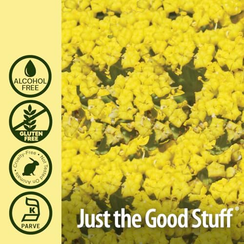 Extracto de Raíz de Lomatium Nature’s Answer - Suplemento Herbal Natural - Sin Gluten ni Alcohol - Ideal para Inmunidad y Bienestar - 1000mg (30ml) - imagen 5