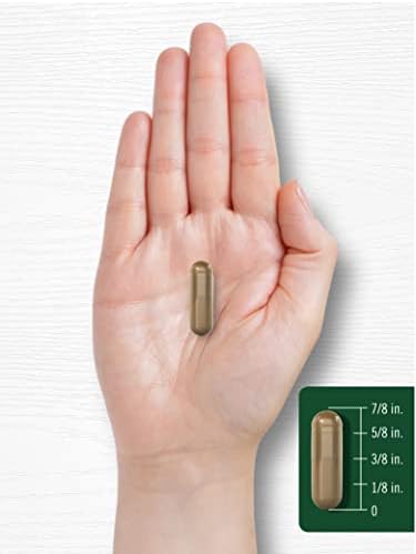 Cápsulas de Semilla de Hinojo Carlyle 480mg | 200 Cápsulas | Suplemento Herbal | Sin OGM - imagen 7