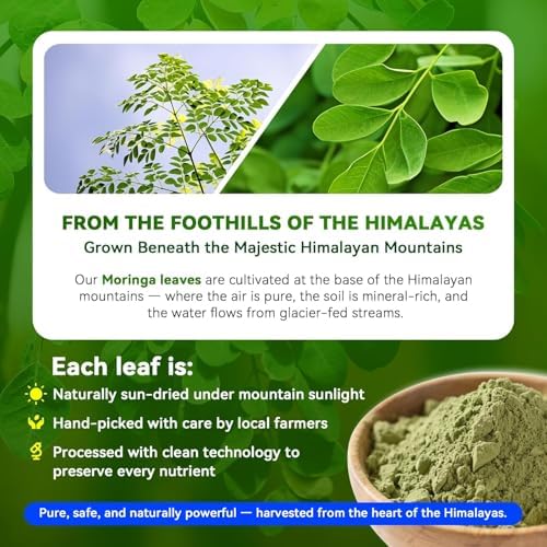 Cápsulas de Moringa 1000mg – Extracto de Hoja 10:1 de Alta Potencia – Apoyo a Energía, Sueño, Inmunidad y Salud Digestiva – Veganas, No Transgénicas - imagen 2