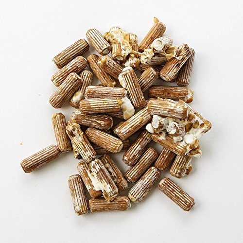 Inóculo de Mycelium de Hongo Ostra - 100 Unidades - Cultiva Hongos Comestibles Gourmet y Medicinales en Árboles y Troncos - imagen 1