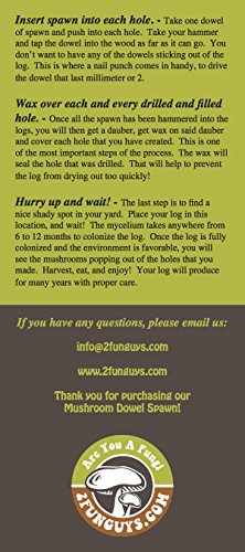Inóculo de Mycelium de Hongo Ostra - 100 Unidades - Cultiva Hongos Comestibles Gourmet y Medicinales en Árboles y Troncos - imagen 6