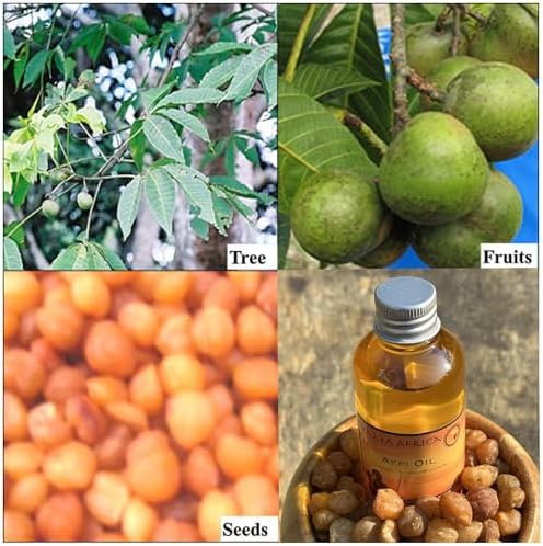 Aceite de Masaje con Semillas de Akpi de África Occidental HIPS para Movimiento Cómodo — Aumenta tu Confianza en Cada Paso — Mayor Comodidad en - imagen 4
