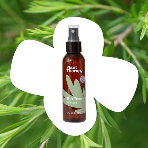 Hidrosol de Árbol de Té (Melaleuca) 4 oz de Plant Therapy - Producto de Aceites Esenciales - imagen 3