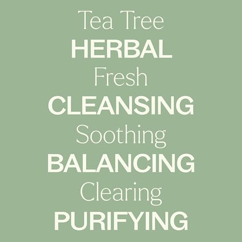 Hidrosol de Árbol de Té (Melaleuca) 4 oz de Plant Therapy - Producto de Aceites Esenciales - imagen 4