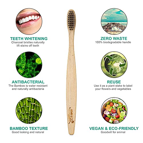 Cepillos de Dientes de Bambú EveEco 12 Piezas I Cerdas Suaves para Encías Sensibles I Carbón I Vegano I Madera Natural I Sin BPA I Reciclable y - imagen 3