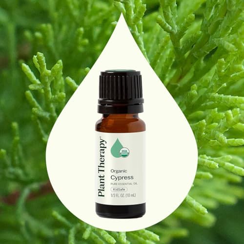 Aceite Esencial de Ciprés Orgánico Plant Therapy 10 mL (1/3 oz), 100% Puro, Sin Diluir, Aromaterapia Natural para Alivio de Congestión y Piel Clara - imagen 3