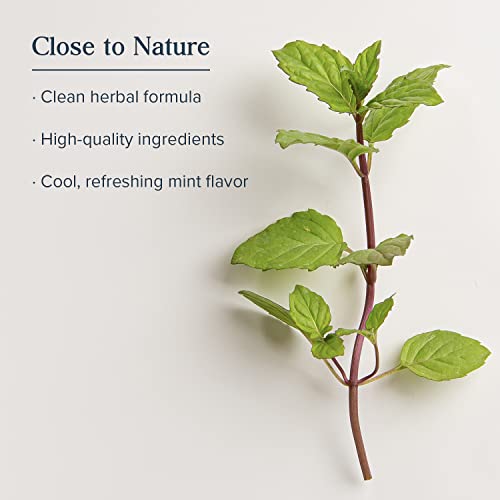 Enjuague Bucal HERITAGE STORE Alka-Thyme - Enjuague Alcalino Natural para Adultos, Refrescante Diario para Boca Seca con Timol, Aceite de Eucalipto y - imagen 4