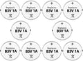 Batería de Repuesto Enerpe B3V de Alta Capacidad Compatible con Collares Electrónicos MS-4 y MS-5, Paquete de 10 - imagen 1
