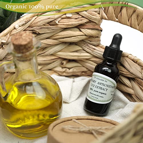 Extracto Antioxidante de Romero CO2 Orgánico Puro por Dr. Adorable 1 Oz en Botella de Vidrio Ámbar con Cuentagotas de Vidrio - imagen 2