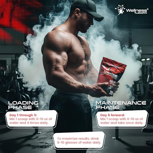 WELLNESS LABSRX Creatina Monohidratada en Polvo 500g – 100 Porciones, Suplemento de Creatina Micronizada Sin Sabor para Hombres y Mujeres, Apoya - imagen 5