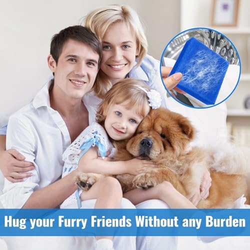 Removedor de Pelo de Mascotas 6PCS para Lavandería, Adhesivo Ultra para Secadora, Reciclable y Ecológico, Herramienta para Quitar Pelusa y Pelo de - imagen 5