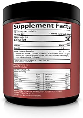 Wholesome Wellness Polvo de Proteína Premium Multi Colágeno Hidrolizado para Mujeres y Hombres, 5 Tipos, Libre de OGM, Sin Sabor, Proteína Pura para - imagen 2