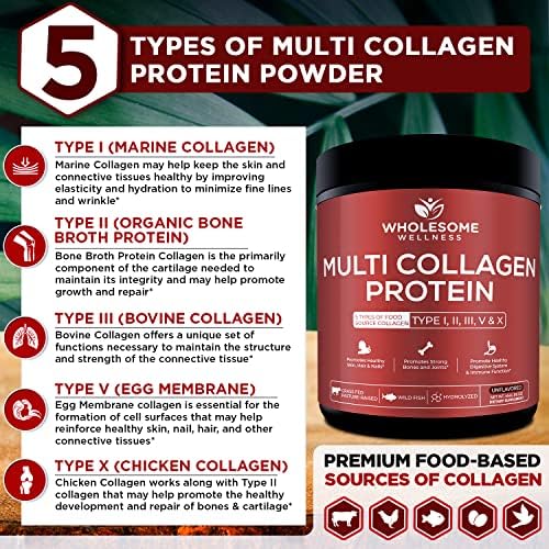 Wholesome Wellness Polvo de Proteína Premium Multi Colágeno Hidrolizado para Mujeres y Hombres, 5 Tipos, Libre de OGM, Sin Sabor, Proteína Pura para - imagen 5