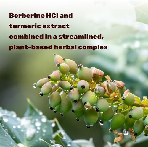 Suplemento DEAL Berberina Max con Cúrcuma, 5000 mg por porción, 240 Cápsulas Vegetarianas | Berberina HCl con Extracto de Raíz de Cúrcuma | No GMO - imagen 4