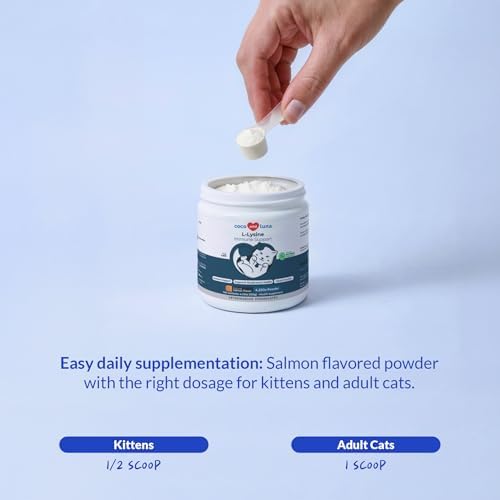 Suplemento de L-Lisina para Gatos 900mg/cucharada - Apoyo para Estornudos, Nariz Moquienta, Resfriados, Inmunidad, Función Ocular y Salud - imagen 6