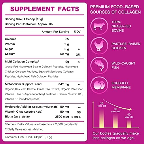 ZEBORA Polvo de Péptidos de Colágeno Múltiple - Colágeno Hidrolizado Tipo I II III V X con Ácido Hialurónico, Biotina y Vitamina C - Apoyo para Piel, - imagen 2