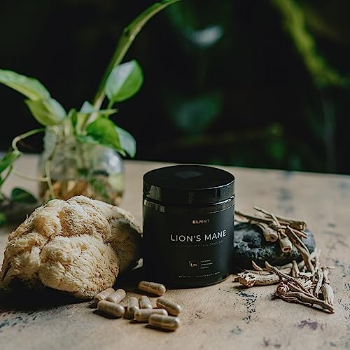 Cápsulas de Suplemento de Melena de León 16x con Ashwagandha y Rhodiola - Extracto de Hongo Melena de León 16:1, 50% Polisacáridos para Memoria y - imagen 4