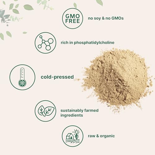Polvo de Lecitina de Girasol Orgánica, 1 Libra, Cultivo Sostenible, Prensado en Frío, Rico en Fosfatidilcolina y Proteínas, Suplemento para - imagen 4