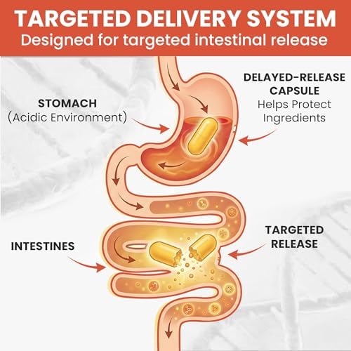 Balance ONE Suplemento de Limpieza y Detoxificación Candida para Hombres y Mujeres – Soporte para Levadura con Ácido Caprílico, Orégano, Berberina y - imagen 3