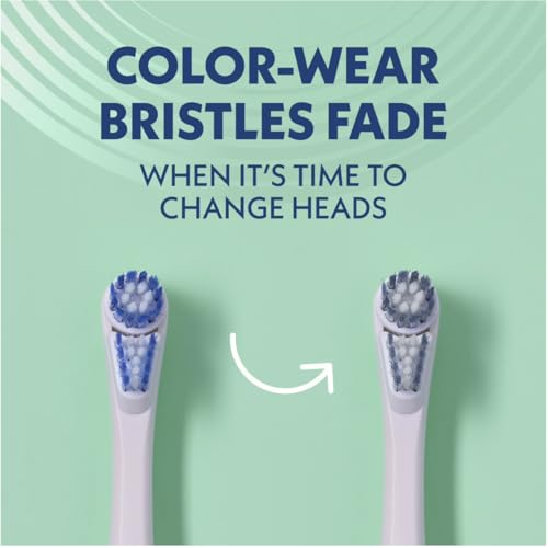 Cabezas de Repuesto para Cepillo Arm & Hammer Spinbrush Pro Clean - imagen 2