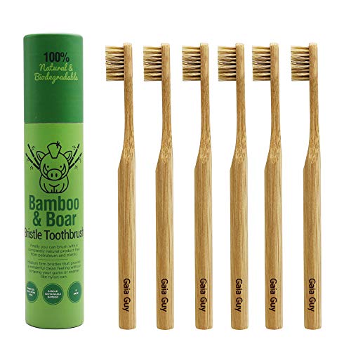 Cepillo de Dientes de Bambú Gaia Guy con Cerdas Naturales de Jabalí (Sin Nylon) - 100% Compostable y Biodegradable - Paquete de 6 unidades - imagen 1