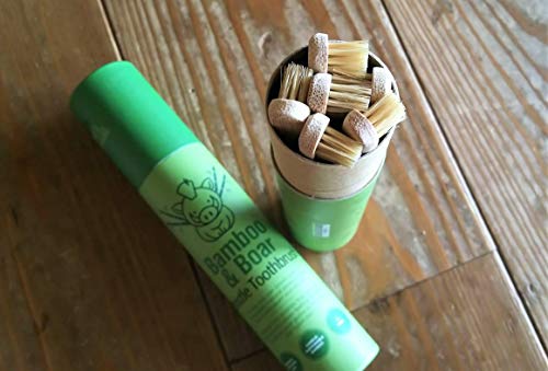 Cepillo de Dientes de Bambú Gaia Guy con Cerdas Naturales de Jabalí (Sin Nylon) - 100% Compostable y Biodegradable - Paquete de 6 unidades - imagen 5