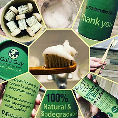 Cepillo de Dientes de Bambú Gaia Guy con Cerdas Naturales de Jabalí (Sin Nylon) - 100% Compostable y Biodegradable - Paquete de 6 unidades - imagen 6
