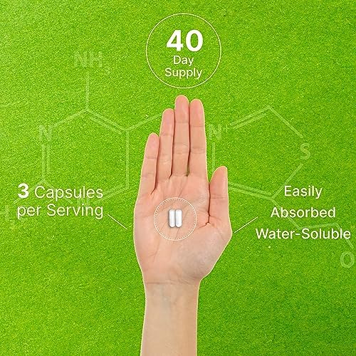 Citicolina CDP Colina, 1,000mg por porción, 120 cápsulas – Suplemento de colina de alta potencia – Propiedades nootrópicas de vitamina B – Promueve - imagen 5