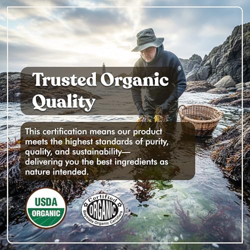 Suplementos American Standard Organic Sea Moss, Cápsulas de Bladderwrack y Raíz de Bardana - 1200mg Seamoss, 1200mg Bladderwrack, 225mg Raíz de - imagen 2