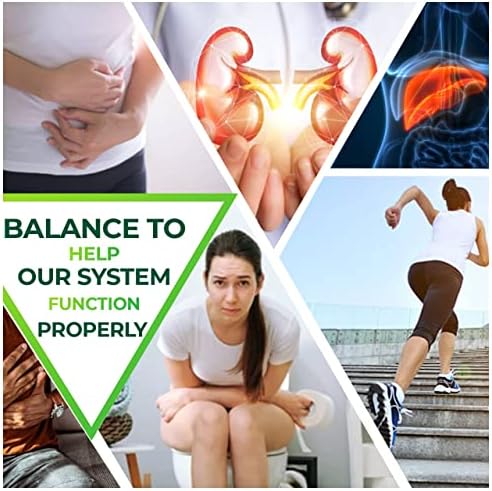 Limpiador Green Valley – Suplemento Detox Herbal Natural para Colon | Apoya la Digestión, Alivio de la Inflamación y Regularidad | 8 oz Líquido - imagen 6