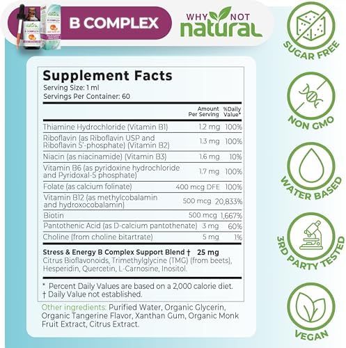 Why Not Gotas Líquidas de Complejo de Vitaminas B Naturales - Suplemento Vegano para Mujeres - B1, B2, B3, B5, B6, Biotina, Folato y Colina - Apoyo - imagen 4