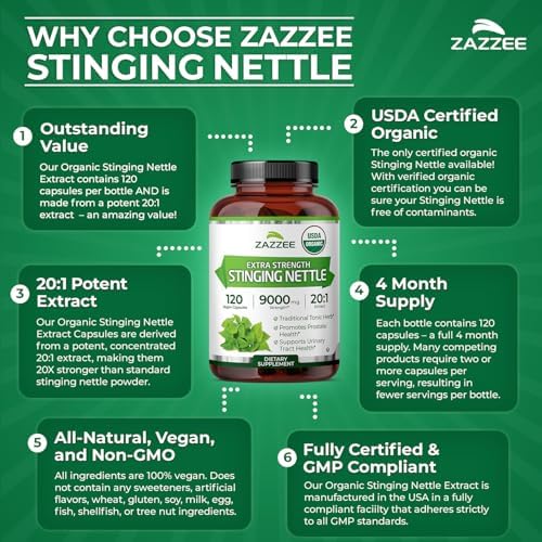 Zazzee Extracto de Hoja de Ortiga Orgánica USDA 20:1, 120 Cápsulas Veganas, Suplemento Herbal para Bienestar Respiratorio e Inmunológico, Hecho en - imagen 6