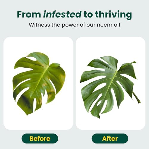 Aceite de Neem para Plantas (Rinde 30 Botellas) con Botella de Spray y Aceites Esenciales para Plantas de Interior y Jardines Exteriores, Brillo - imagen 5