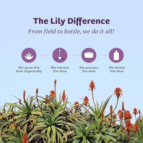 Fórmula Estomacal Lily of The Desert, Jugo de Aloe Vera Orgánico con Olmo Resbaladizo, Manzanilla, Menta y Jengibre para la Salud Digestiva, 32 Oz, - imagen 7