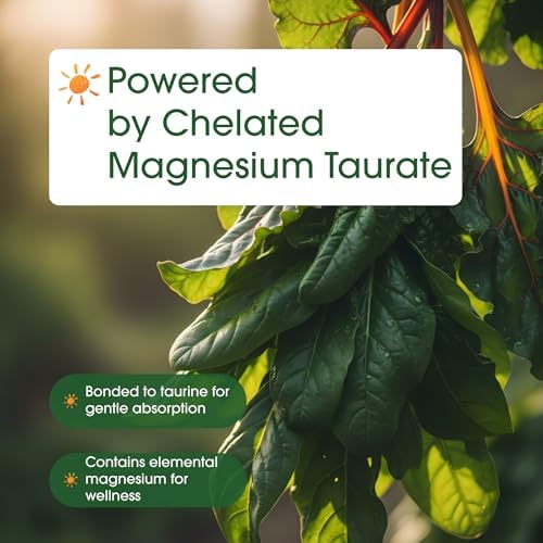 NatureBell Magnesio Taurato - 240 Cápsulas - 1,500mg Fórmula Quelada de Alta Absorción - con Taurina - Salud del Corazón, Sistema Nervioso, Soporte - imagen 6