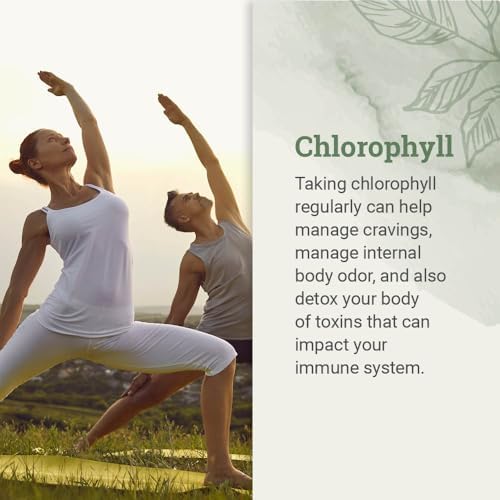 Clorofila Líquida Earth Harmony 2 oz, Gotas Veganas para Apoyo Inmunológico y Desodorante Interno Natural, Limpieza Detox con Glicerina Orgánica - imagen 2