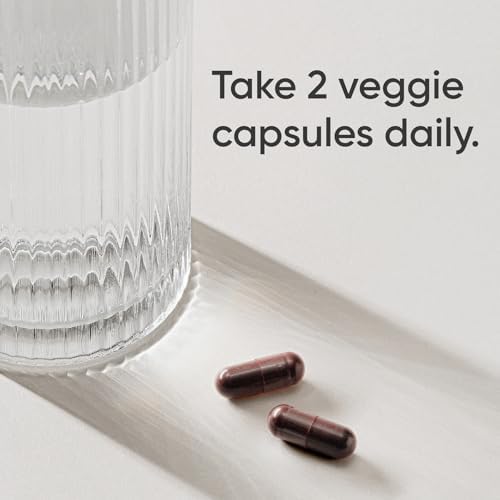 Sports Research® Elderberry Apoyo Inmunológico con Zinc, Jengibre, Vitamina C y D3 - Vegano, No GMO, Sin Gluten - 60 Cápsulas Veganas - imagen 3
