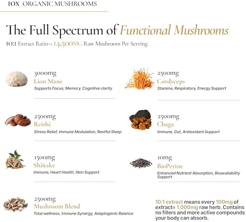 Suplemento Orgánico de Hongos NeuroRoot - Mezcla de 10 Hongos: Melena de León, Reishi, Cordyceps - Extracto de Cuerpo Frutal 10:1 - Memoria, Enfoque, - imagen 4
