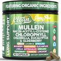 Extracto de Hoja de Mullein Clean Nutra para Limpieza Pulmonar | Suplemento NAC con Clorofila, Chlorella y Saúco | Detox Pulmonar para Fumadores | - imagen 1