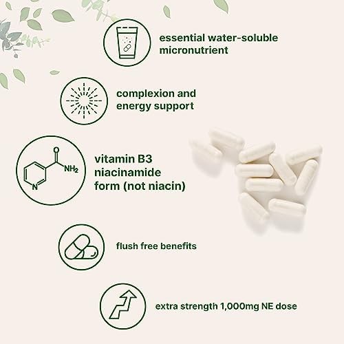 Suplemento de Vitamina B3 Niacinamida 500mg por Cápsula, 400 Cápsulas | 1,000mg de Niacina Sin Enrojecimiento por Porción, No Transgénico, Sin Gluten - imagen 4