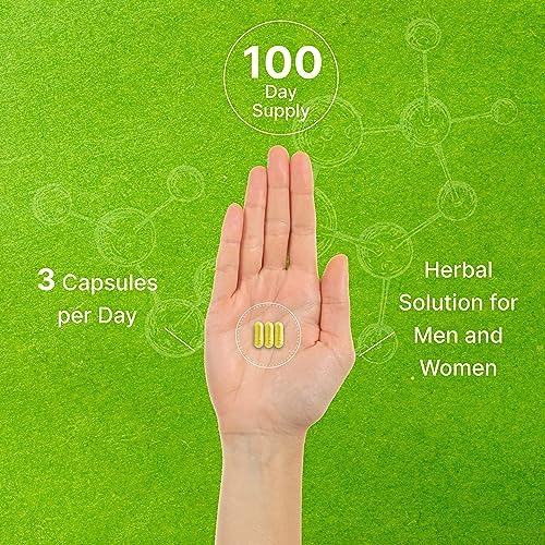 Suplemento DEAL Quercetina 1,000mg por Porción, 300 Cápsulas – Suplemento Natural para el Sistema Inmunológico, Alto en Flavonoides, Antioxidante – - imagen 5