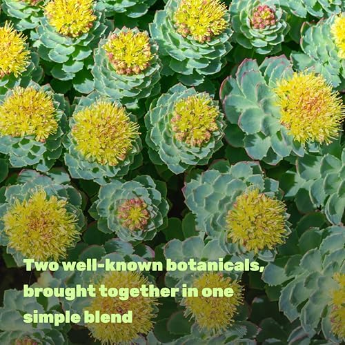 SUPLEMENTO DEAL Rhodiola Rosea con Ashwagandha, 240 Cápsulas Veganas – Mezcla de Rhodiola y Ashwagandha – Sin OGM - imagen 4